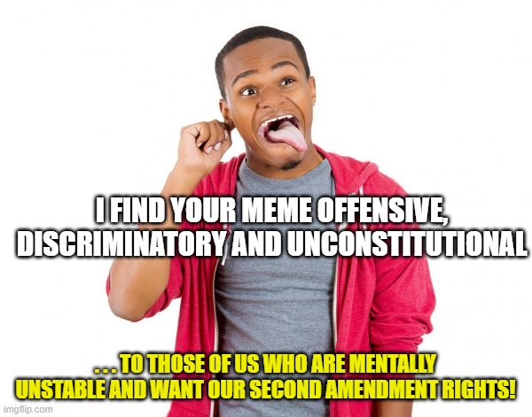 I FIND YOUR MEME OFFENSIVE, DISCRIMINATORY AND UNCONSTITUTIONAL . . . TO THOSE OF US WHO ARE MENTALLY UNSTABLE AND WANT OUR SECOND AMENDMENT | made w/ Imgflip meme maker