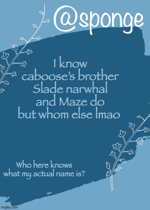 Who here knows | I know caboose’s brother Slade narwhal and Maze do but whom else lmao; Who here knows what my actual name is? | image tagged in sponge temp | made w/ Imgflip meme maker