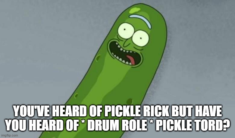 Pickle rick | YOU'VE HEARD OF PICKLE RICK BUT HAVE YOU HEARD OF * DRUM ROLE * PICKLE TORD? | image tagged in pickle rick | made w/ Imgflip meme maker