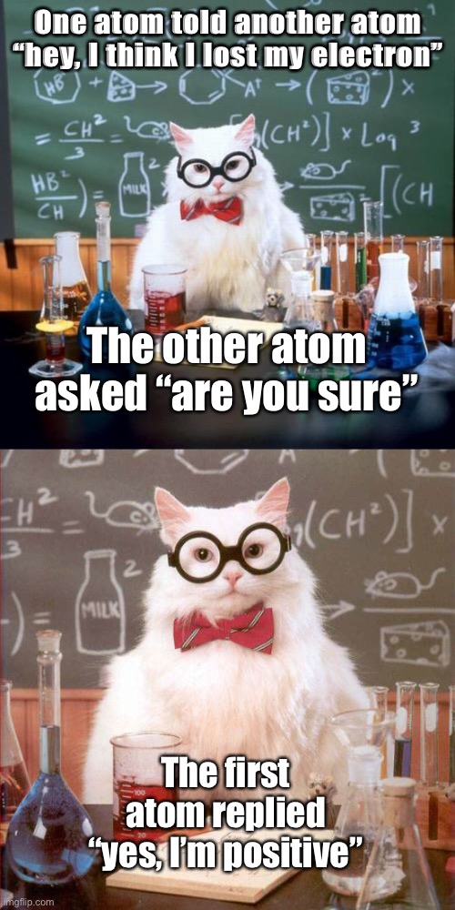 Dad jokes suck | One atom told another atom “hey, I think I lost my electron”; The other atom asked “are you sure”; The first atom replied “yes, I’m positive” | image tagged in memes,chemistry cat,science cat,stupid memes,dad joke | made w/ Imgflip meme maker