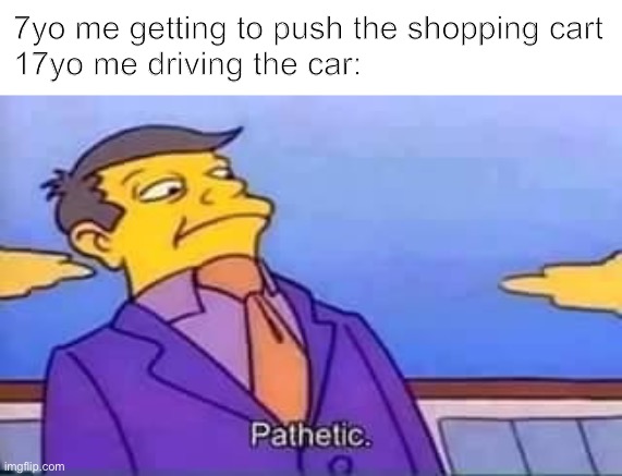 skinner pathetic | 7yo me getting to push the shopping cart
17yo me driving the car: | image tagged in skinner pathetic,memes | made w/ Imgflip meme maker