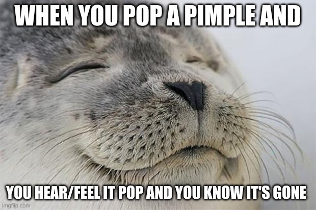 Satisfaction level 100 | WHEN YOU POP A PIMPLE AND; YOU HEAR/FEEL IT POP AND YOU KNOW IT'S GONE | image tagged in memes,satisfied seal | made w/ Imgflip meme maker