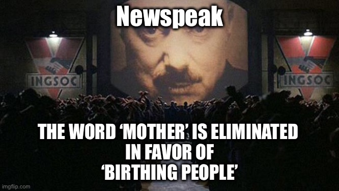 1984 is happening right before our very eyes | Newspeak; THE WORD ‘MOTHER’ IS ELIMINATED 
IN FAVOR OF
‘BIRTHING PEOPLE’ | image tagged in 1984 | made w/ Imgflip meme maker