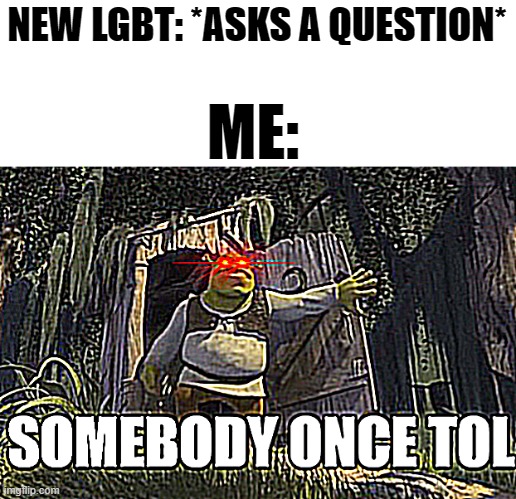 For real tho xD | NEW LGBT: *ASKS A QUESTION*; ME: | image tagged in shrek,lgbt,memes,funny,question | made w/ Imgflip meme maker