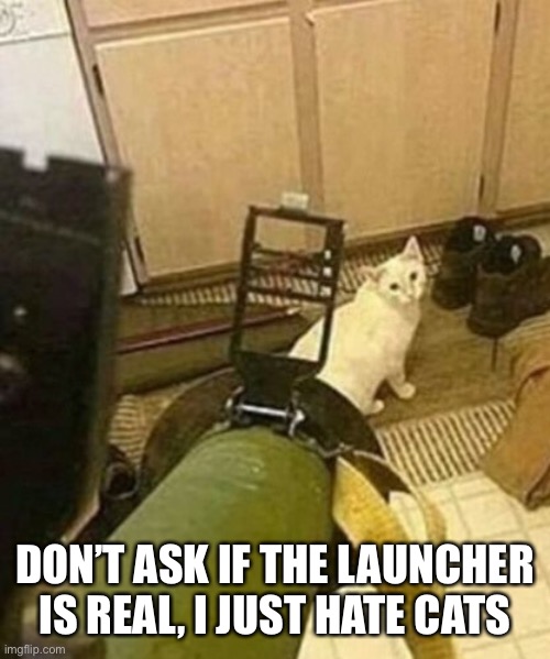 I hate cats | DON’T ASK IF THE LAUNCHER IS REAL, I JUST HATE CATS | image tagged in bazooka squirrel | made w/ Imgflip meme maker