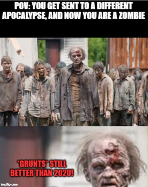 Is it bad to wish for a zombie apocalypse during 2020? | image tagged in the walking dead,walking dead | made w/ Imgflip meme maker