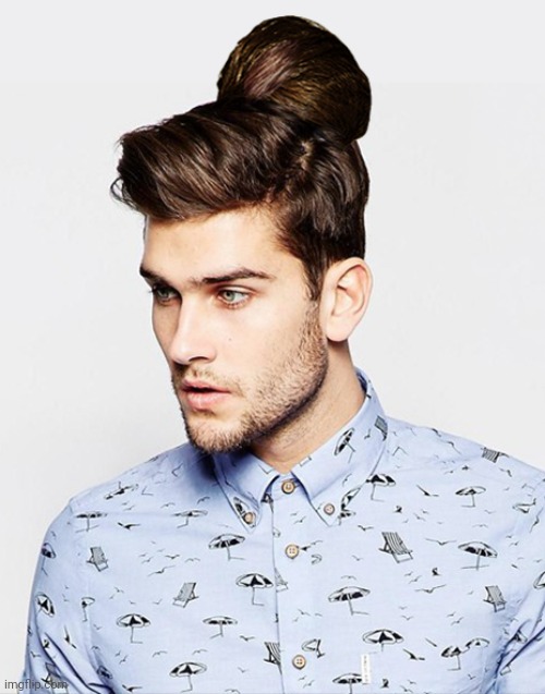 Not a manbun | image tagged in not a manbun | made w/ Imgflip meme maker