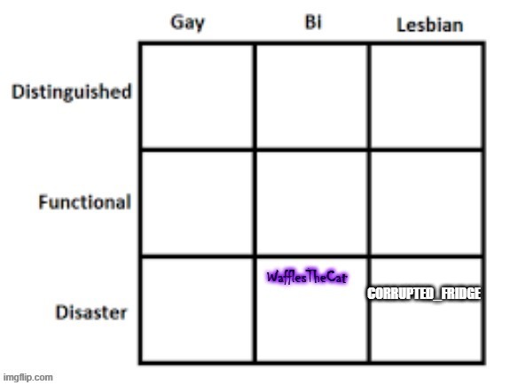 Am I Lesbian Disaster or Distinguished Lesbian or Functional Lesbian? | CORRUPTED_FRIDGE | made w/ Imgflip meme maker