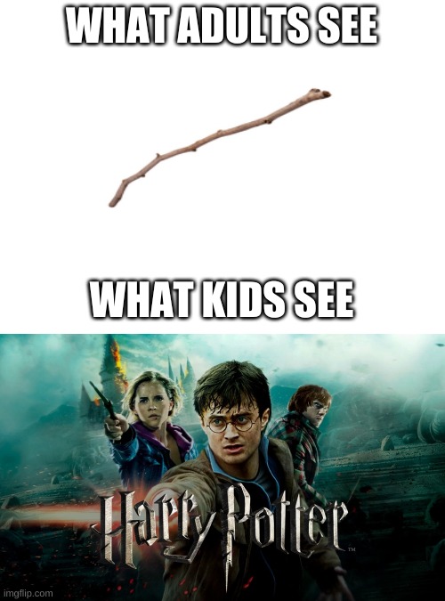 S t i c k | WHAT ADULTS SEE; WHAT KIDS SEE | image tagged in harry potter,stick | made w/ Imgflip meme maker