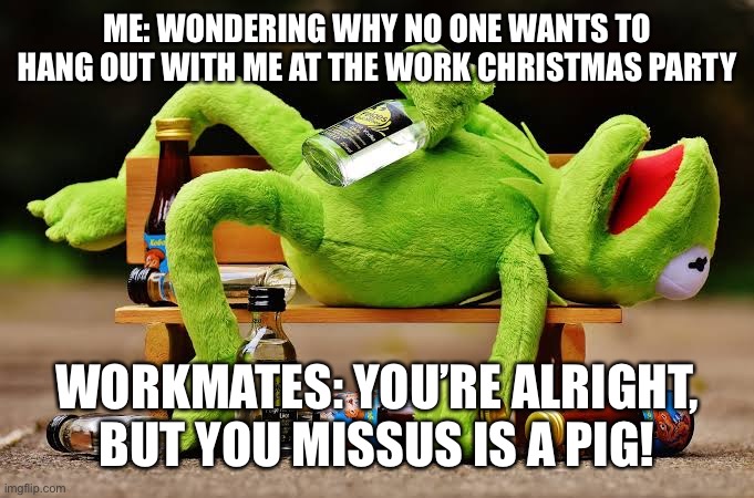 Left out | ME: WONDERING WHY NO ONE WANTS TO HANG OUT WITH ME AT THE WORK CHRISTMAS PARTY; WORKMATES: YOU’RE ALRIGHT, BUT YOU MISSUS IS A PIG! | image tagged in kermit | made w/ Imgflip meme maker