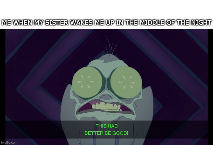 Lol | ME WHEN MY SISTER WAKES ME UP IN THE MIDDLE OF THE NIGHT | image tagged in my little sister | made w/ Imgflip meme maker