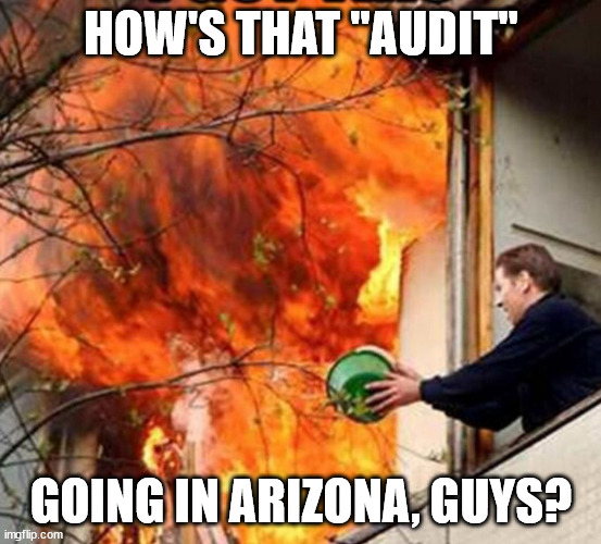 Futile Effort Frank | HOW'S THAT "AUDIT"; GOING IN ARIZONA, GUYS? | image tagged in futile effort frank | made w/ Imgflip meme maker