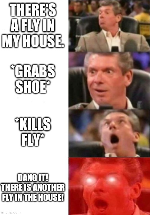 Mr. McMahon reaction | THERE'S A FLY IN MY HOUSE. *GRABS SHOE*; *KILLS FLY*; DANG IT! THERE IS ANOTHER FLY IN THE HOUSE! | image tagged in mr mcmahon reaction | made w/ Imgflip meme maker