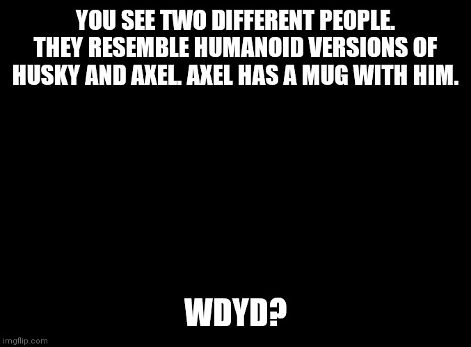 blank black | YOU SEE TWO DIFFERENT PEOPLE. THEY RESEMBLE HUMANOID VERSIONS OF HUSKY AND AXEL. AXEL HAS A MUG WITH HIM. WDYD? | image tagged in blank black | made w/ Imgflip meme maker