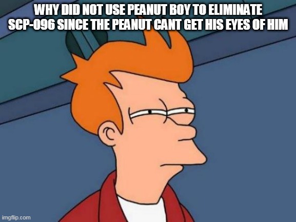 grammar error and also i det ect gayness | WHY DID NOT USE PEANUT BOY TO ELIMINATE SCP-096 SINCE THE PEANUT CANT GET HIS EYES OF HIM | image tagged in memes,futurama fry | made w/ Imgflip meme maker