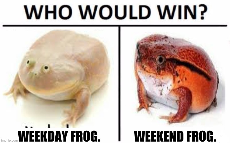 Who Would Win? Meme | WEEKDAY FROG. WEEKEND FROG. | image tagged in memes,repost police,who would win | made w/ Imgflip meme maker
