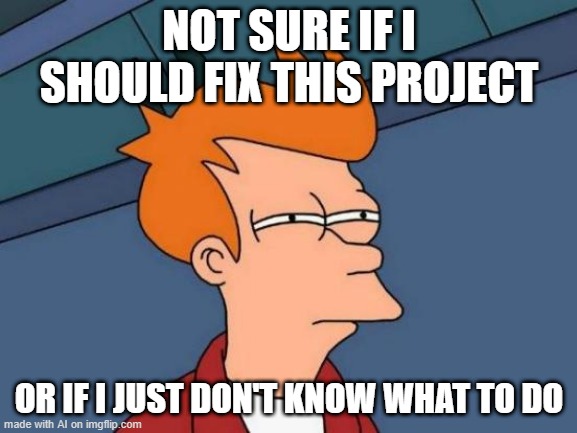 Futurama Fry | NOT SURE IF I SHOULD FIX THIS PROJECT; OR IF I JUST DON'T KNOW WHAT TO DO | image tagged in memes,futurama fry | made w/ Imgflip meme maker
