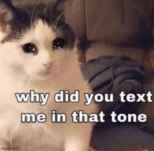 ; - ; | image tagged in why did you text me in that tone | made w/ Imgflip meme maker