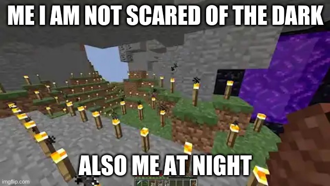 haha | ME I AM NOT SCARED OF THE DARK; ALSO ME AT NIGHT | image tagged in funny memes | made w/ Imgflip meme maker