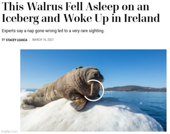 I've been stressed out lately.. | image tagged in funny | made w/ Imgflip meme maker