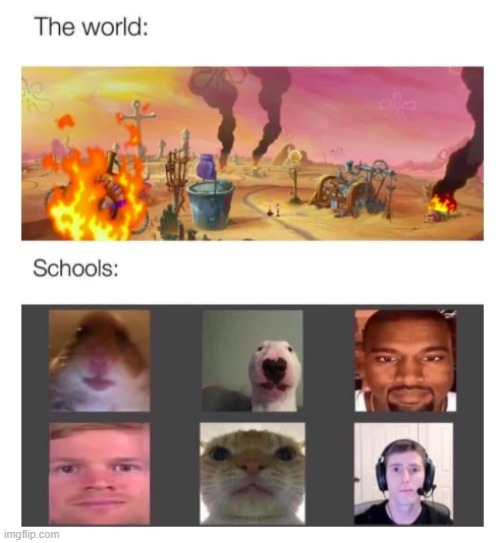 last actual meme in this stream today, gn idiots | image tagged in memes | made w/ Imgflip meme maker