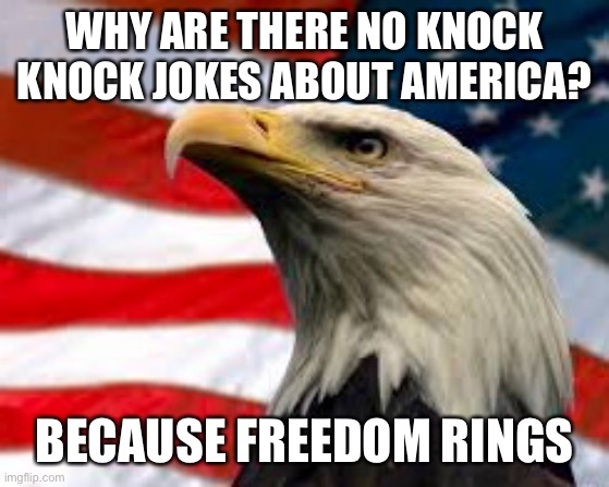 The navy has AA Guns America Awesome guns | WHY ARE THERE NO KNOCK KNOCK JOKES ABOUT AMERICA? BECAUSE FREEDOM RINGS | image tagged in murica patriotic eagle | made w/ Imgflip meme maker