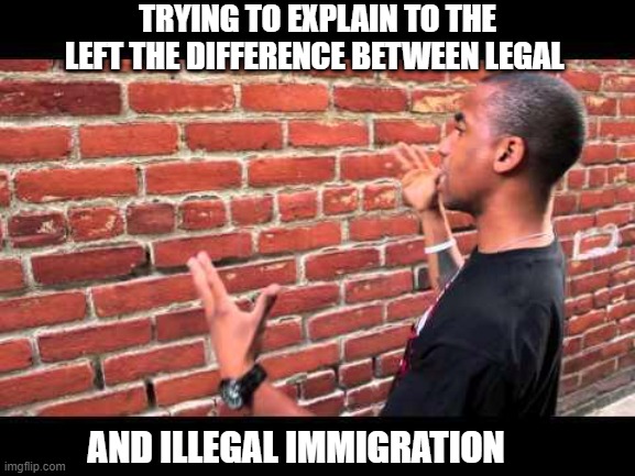 Brick wall guy | TRYING TO EXPLAIN TO THE LEFT THE DIFFERENCE BETWEEN LEGAL AND ILLEGAL IMMIGRATION | image tagged in brick wall guy | made w/ Imgflip meme maker