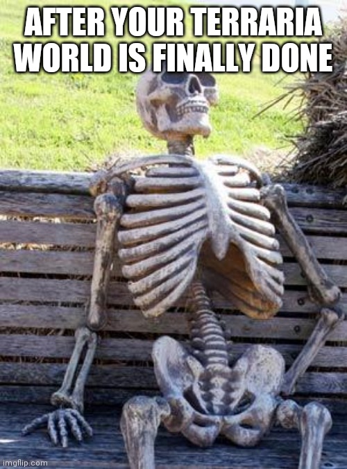 Waiting Skeleton Meme | AFTER YOUR TERRARIA WORLD IS FINALLY DONE | image tagged in memes,waiting skeleton,terraria | made w/ Imgflip meme maker