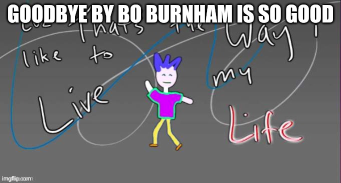Cuz that's the way I like to live my life | GOODBYE BY BO BURNHAM IS SO GOOD | image tagged in cuz that's the way i like to live my life | made w/ Imgflip meme maker
