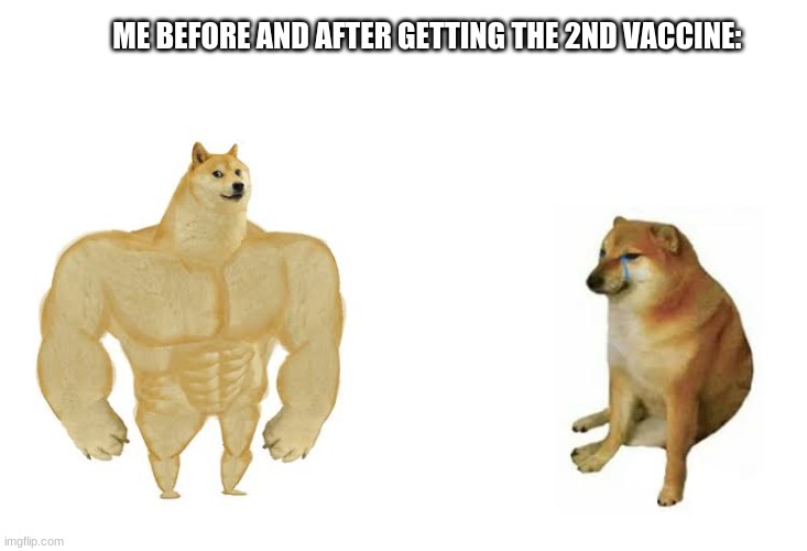 Strong doge weak doge | ME BEFORE AND AFTER GETTING THE 2ND VACCINE: | image tagged in strong doge weak doge | made w/ Imgflip meme maker