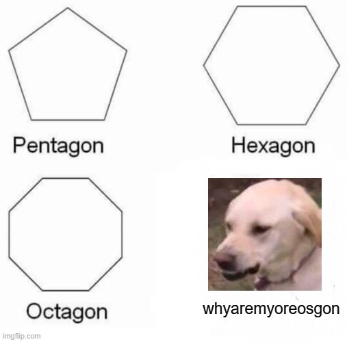 Pentagon Hexagon Octagon Meme |  whyaremyoreosgon | image tagged in memes,pentagon hexagon octagon,angery | made w/ Imgflip meme maker