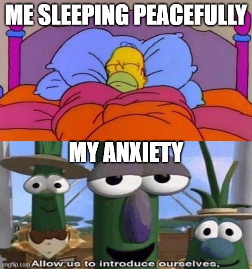 Sleeping with anxiety | ME SLEEPING PEACEFULLY; MY ANXIETY | image tagged in funny memes | made w/ Imgflip meme maker