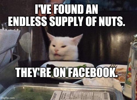 Salad cat | I'VE FOUND AN ENDLESS SUPPLY OF NUTS. J M; THEY'RE ON FACEBOOK. | image tagged in salad cat | made w/ Imgflip meme maker