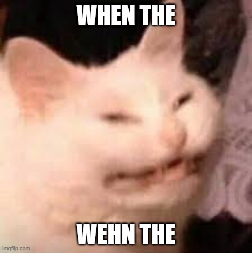 When the | WHEN THE; WEHN THE | image tagged in funny memes | made w/ Imgflip meme maker