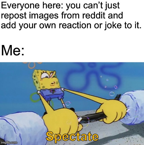 This image was stolen from reddit | Everyone here: you can’t just repost images from reddit and add your own reaction or joke to it. Me: | made w/ Imgflip meme maker