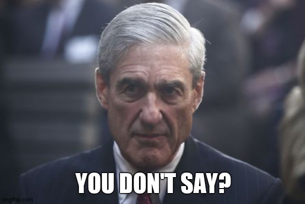 Mueller  | YOU DON'T SAY? | image tagged in mueller | made w/ Imgflip meme maker