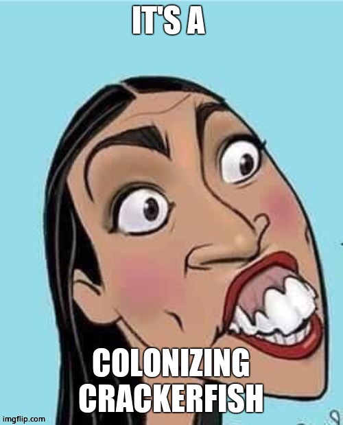 AOC | IT'S A COLONIZING CRACKERFISH | image tagged in aoc | made w/ Imgflip meme maker