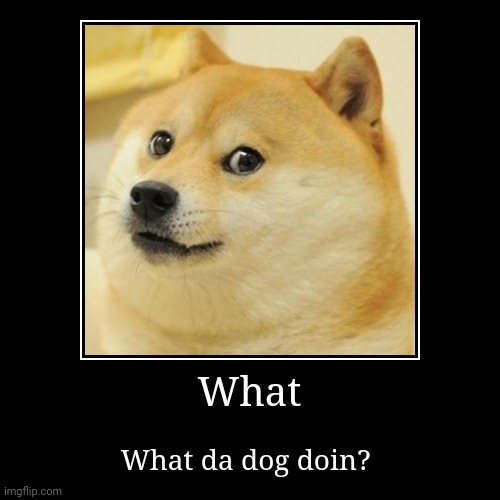 Doge doin fun | image tagged in funny,demotivationals | made w/ Imgflip demotivational maker