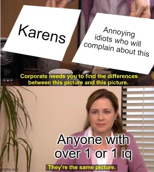 they're the same picture | Karens; Annoying idiots who will complain about this; Anyone with over 1 or 1 iq | image tagged in memes,they're the same picture | made w/ Imgflip meme maker