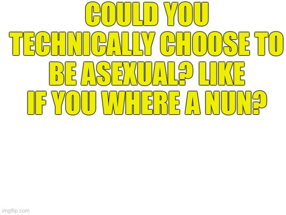 Blank White Template | COULD YOU TECHNICALLY CHOOSE TO BE ASEXUAL? LIKE IF YOU WHERE A NUN? | image tagged in blank white template | made w/ Imgflip meme maker