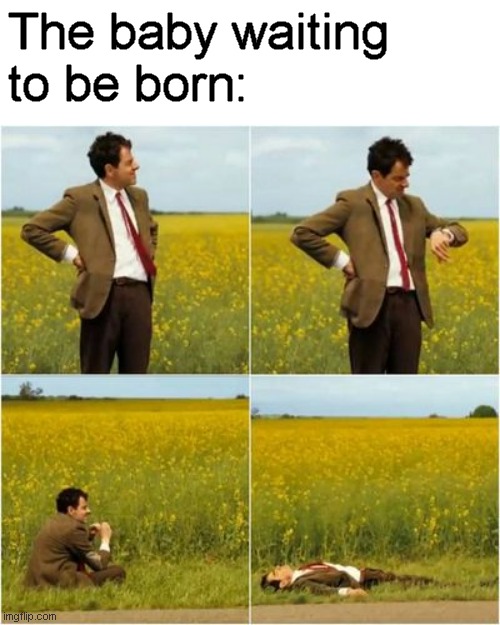 mr bean waiting for bus | The baby waiting
to be born: | image tagged in mr bean waiting for bus | made w/ Imgflip meme maker