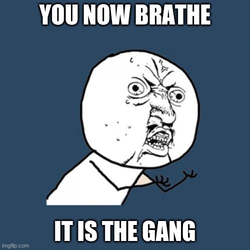 Y U No | YOU NOW BRATHE; IT IS THE GANG | image tagged in memes,y u no | made w/ Imgflip meme maker