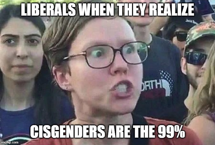 Occupy Main Street! | LIBERALS WHEN THEY REALIZE; CISGENDERS ARE THE 99% | image tagged in triggered liberal,woke,cisgender,gender identity | made w/ Imgflip meme maker