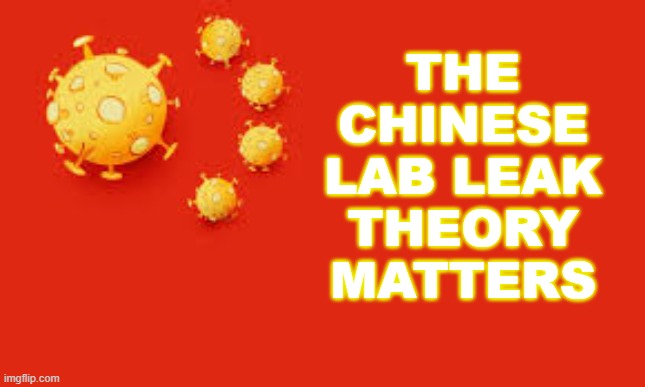 The Lab Leak Theory Matters | THE
CHINESE
LAB LEAK
THEORY
MATTERS | image tagged in chinese corona flag | made w/ Imgflip meme maker