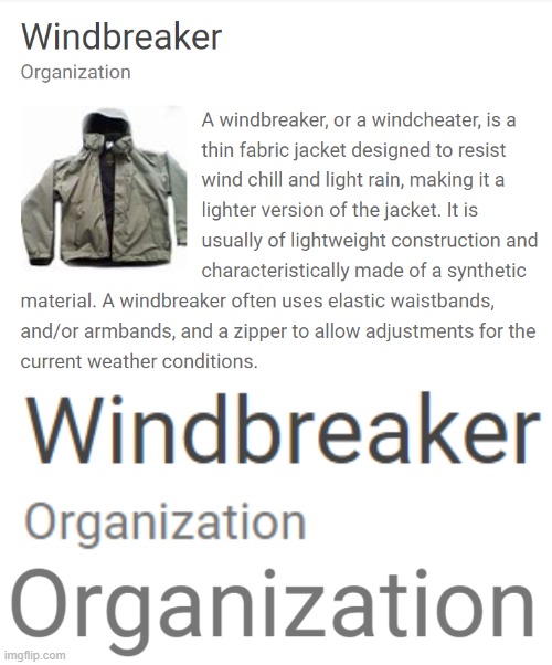 How is a type of clothing an organization- | image tagged in google | made w/ Imgflip meme maker