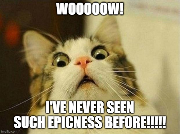 Yes, he's looking at you!!! \:^) | WOOOOOW! I'VE NEVER SEEN SUCH EPICNESS BEFORE!!!!! | image tagged in memes,scared cat,epic,wow,cat,funny | made w/ Imgflip meme maker