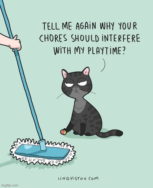 A Cat's Way Of Thinking | image tagged in memes,cats,thinking,chores,messed up,playing | made w/ Imgflip meme maker