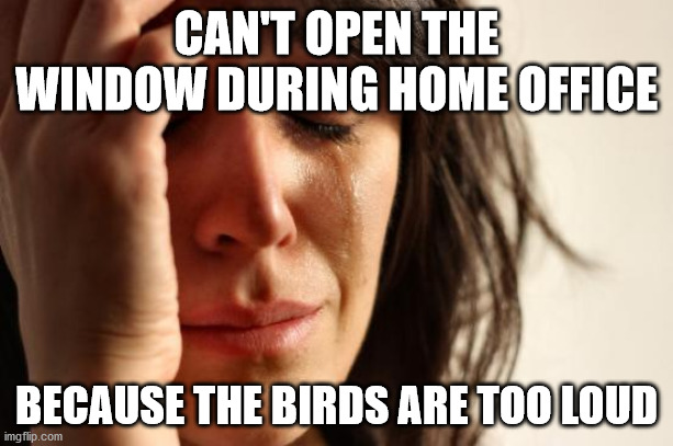 First World Problems | CAN'T OPEN THE WINDOW DURING HOME OFFICE; BECAUSE THE BIRDS ARE TOO LOUD | image tagged in memes,first world problems,AdviceAnimals | made w/ Imgflip meme maker