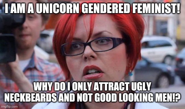 Angry Feminist | I AM A UNICORN GENDERED FEMINIST! WHY DO I ONLY ATTRACT UGLY NECKBEARDS AND NOT GOOD LOOKING MEN!? | image tagged in angry feminist,memes,feminism | made w/ Imgflip meme maker