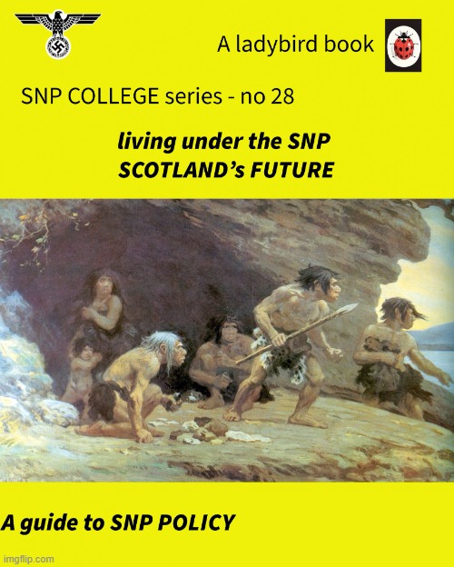 SNP no28 | image tagged in snp no28 | made w/ Imgflip meme maker